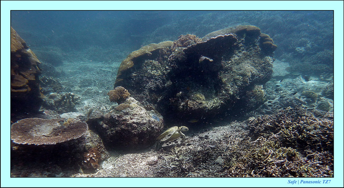 2011 - 08 - Borneo - Sipadan 006